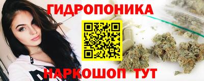 PSILOCYBIN Краснознаменск